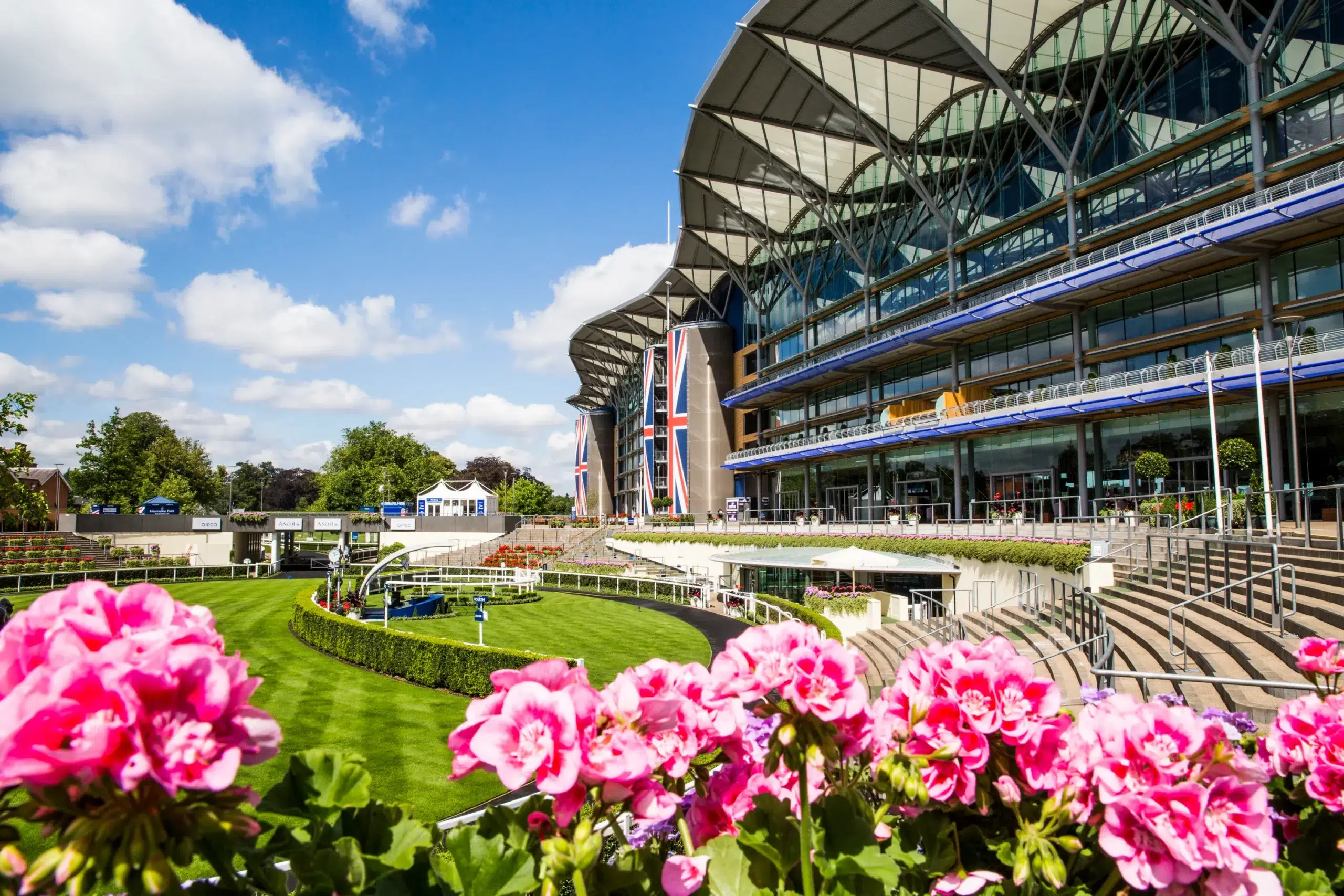 A bright view of Ascot Racecourse on a sunny day, showcasing the grandstand with Union Jack flags and pink flowers in the foreground overlooking the neatly groomed parade ring