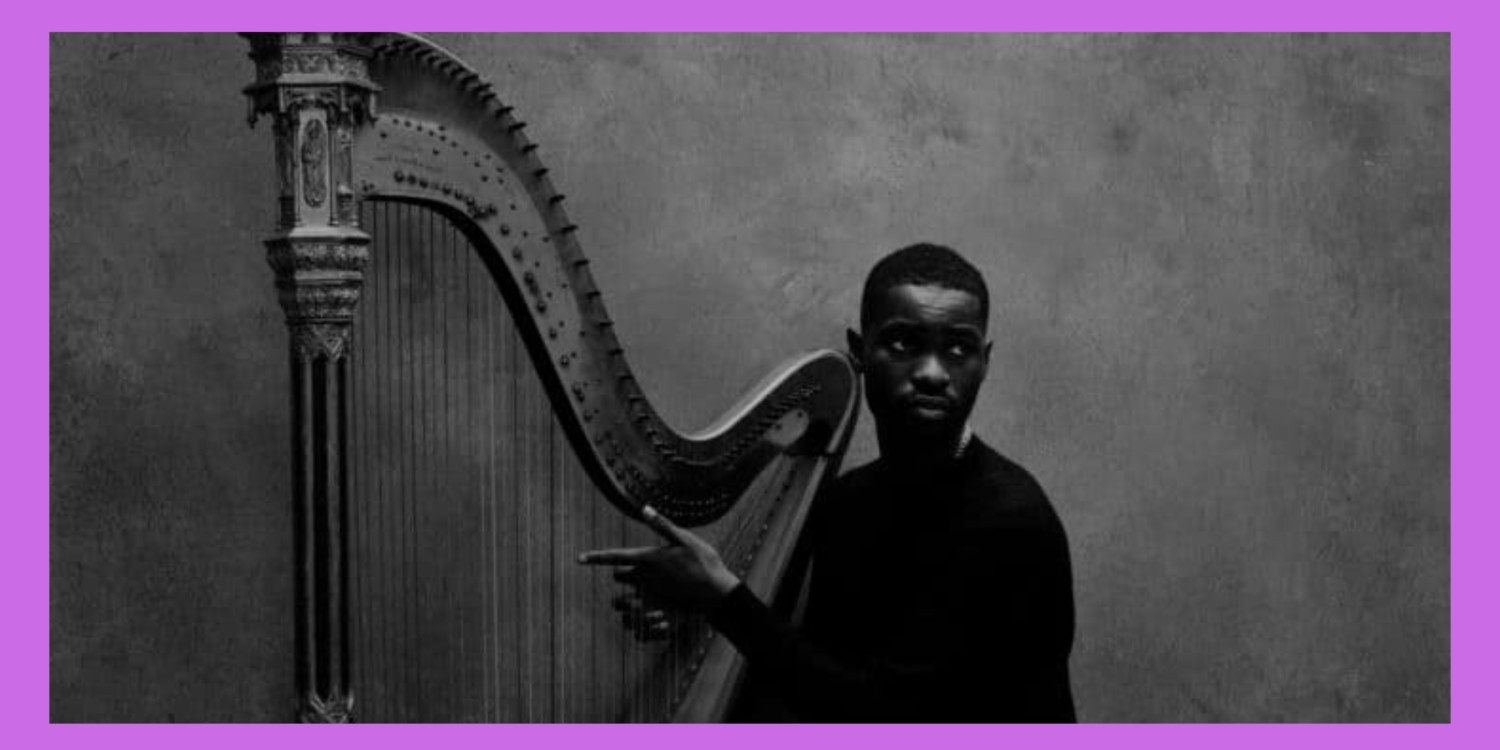 Dave The Boy Who Played the Harp album cover